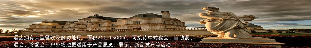 贵宾包房-餐饮休闲-北京拉斐特城堡酒店